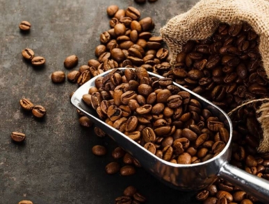 Suplai biji kopi